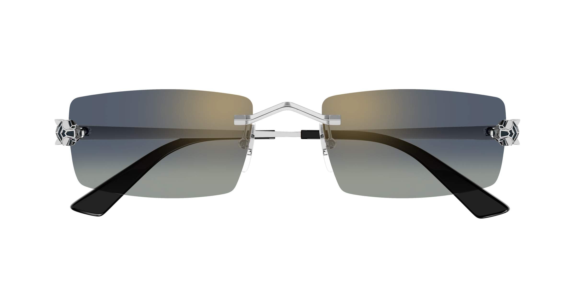 Gafas de Sol Cartier CT0598S