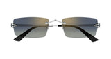 Gafas de Sol Cartier CT0598S
