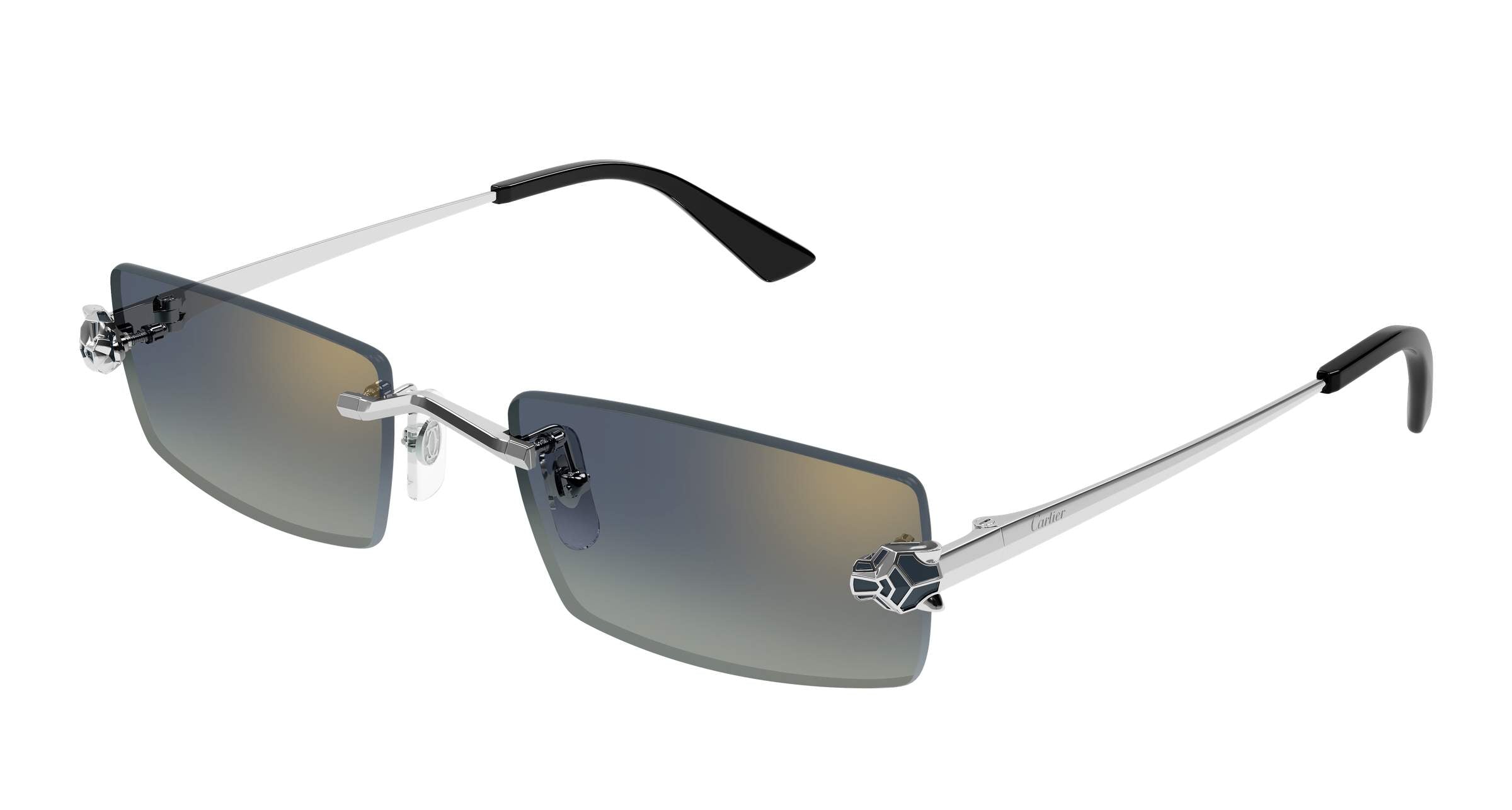 Gafas de Sol Cartier CT0598S