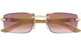 Gafas de Sol Cartier Unisex Ct0582S