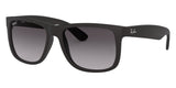 Gafas Ray Ban RB4165L