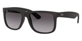 Gafas Ray Ban RB4165L