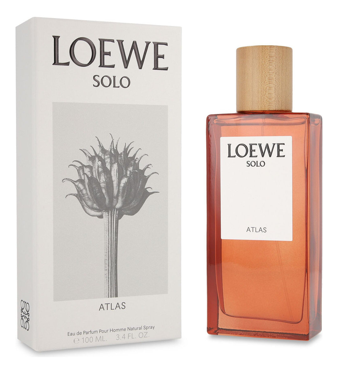 Solo Atlas EDP 100 ml