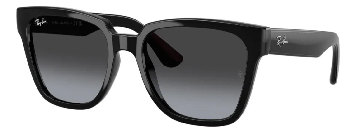 Gafas de Sol Ray Ban Unisex RB4437L