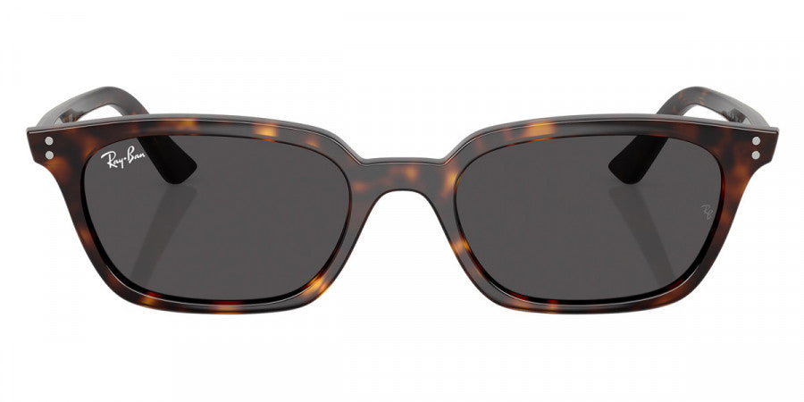 Gafas de Sol Ray Ban Zaya Unisex RB4456