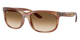 Gafas Ray Ban RB2389