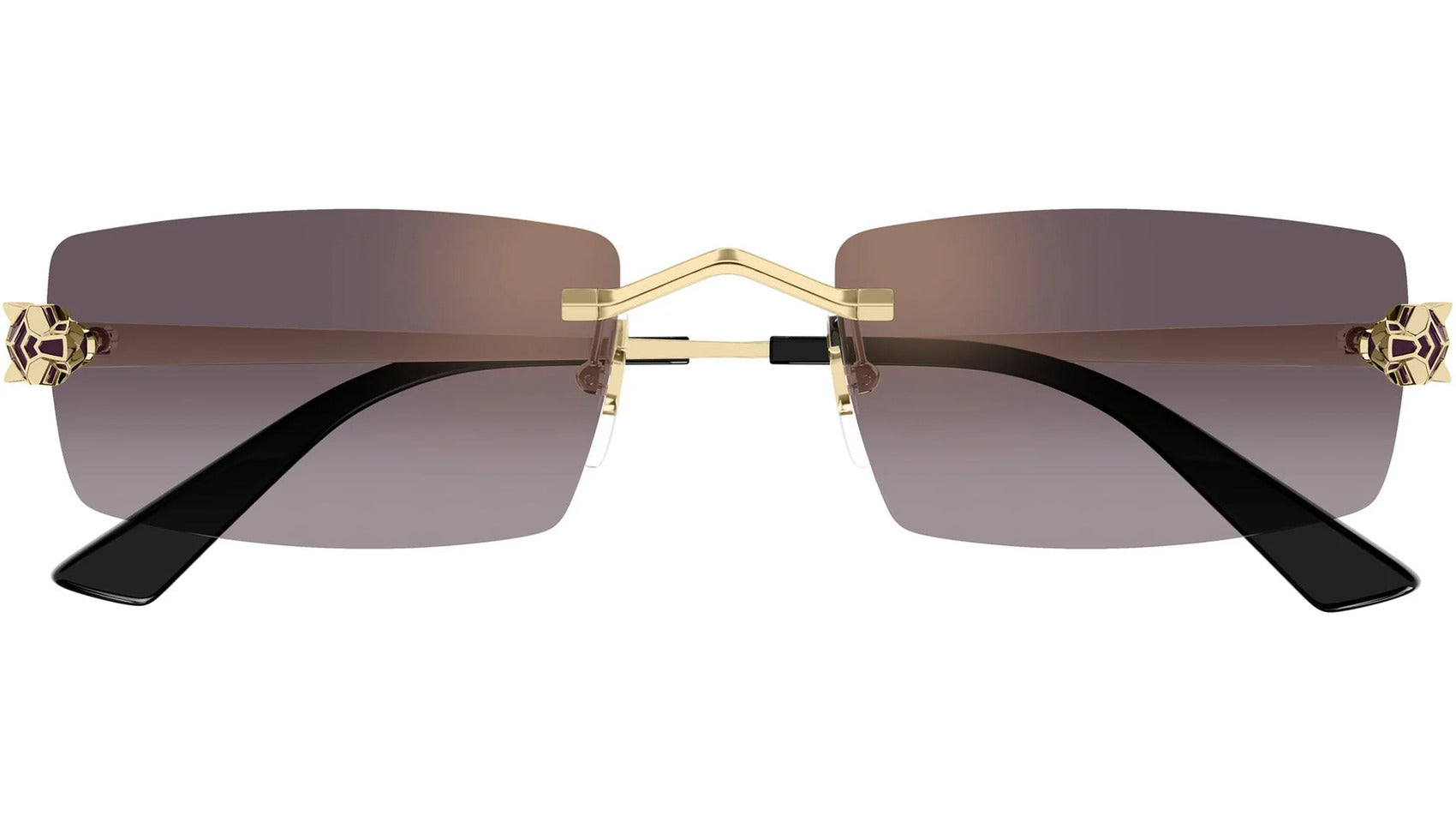 Gafas de Sol Cartier Unisex CT0598S