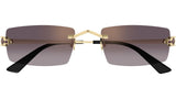 Gafas de Sol Cartier Unisex CT0598S
