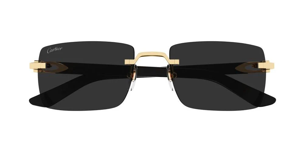 Gafas de Sol Cartier Unisex CT0579S