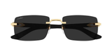 Gafas de Sol Cartier Unisex CT0579S