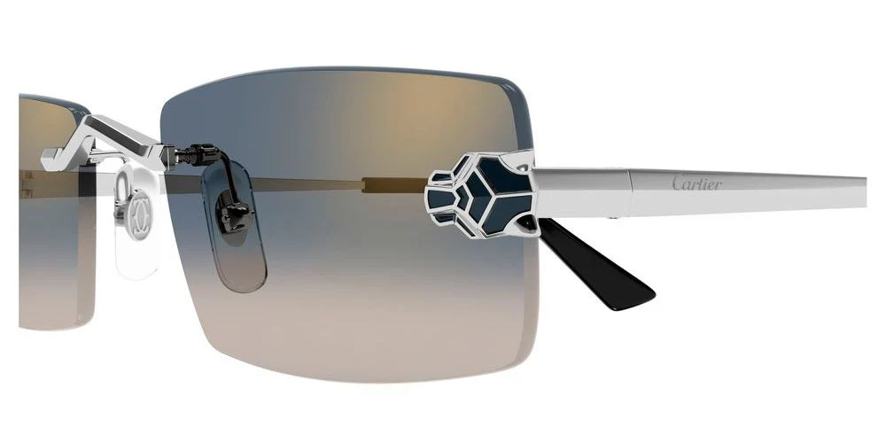 Gafas de Sol Cartier Unisex CT0598S