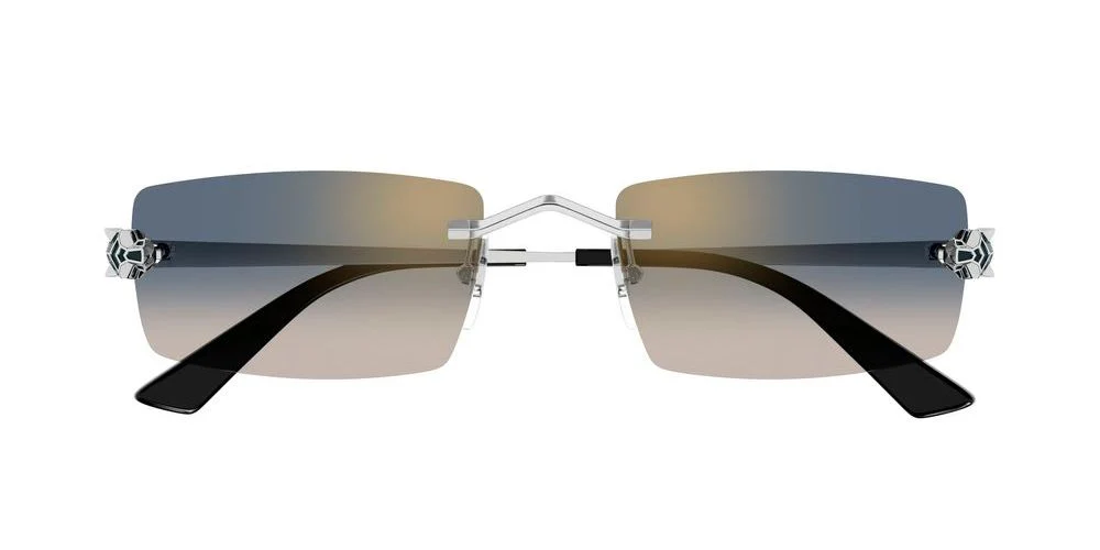 Gafas de Sol Cartier Unisex CT0598S