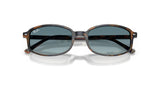 Gafas de Sol Ray Ban RB2232