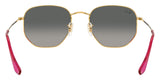 Gafas De Sol Ray Ban Hexagonal Unisex Rb3548n