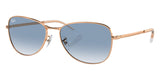 Gafas de Sol Ray Ban Unisex RB3733
