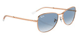 Gafas de Sol Ray Ban Unisex RB3733
