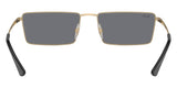 Gafas de Sol Ray Ban Emy Unisex RB3741
