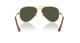 Gafas de Sol Ray Ban RB3925