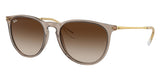 Gafas Ray Ban Erika Mujer RB4171