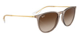 Gafas Ray Ban Erika Mujer RB4171