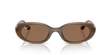 Gafas de Sol Ray-Ban RB4441D