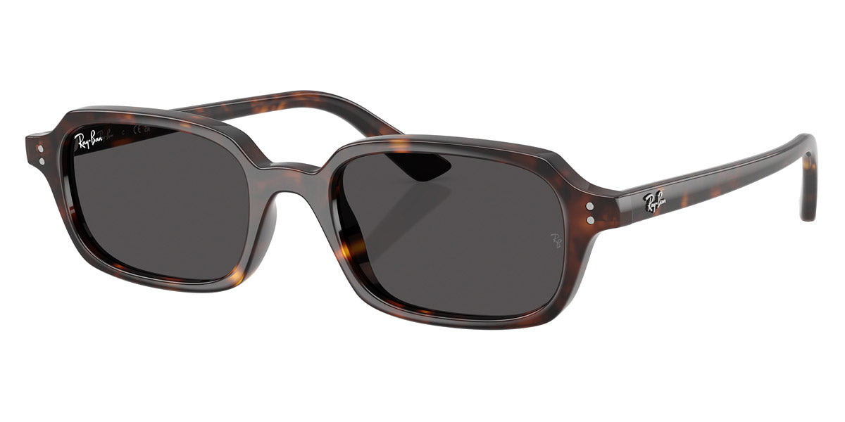 Gafas de Sol Unisex Ray Ban RB4455