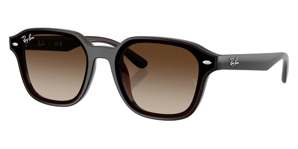 Gafas de Sol Unisex Ray Ban RB4458D