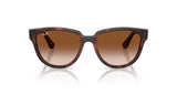 Gafas de Sol Ray Ban RB4463L