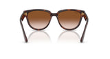 Gafas de Sol Ray Ban RB4463L
