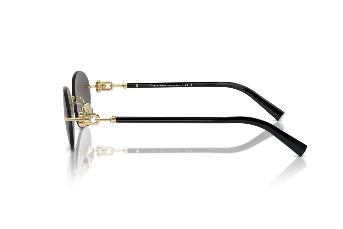 Gafas de Sol Tiffany & Co Unisex Tf3104D