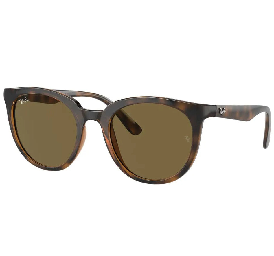 Gafas de sol Ray ban Dark Havana RB4383L